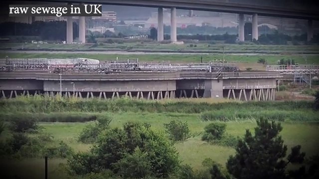 Southern water fined record £90m for dumping raw sewage in UK