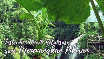 #20 Instrumen Musik Relaksasi yang Menenangkan Pikiran