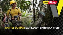 SHORTS: Kartel durian: Dah kecoh baru nak riuh