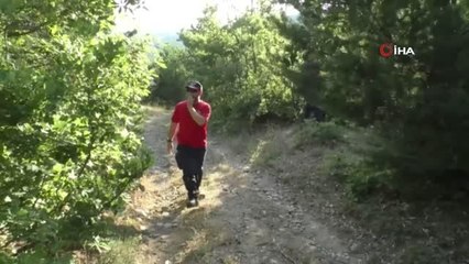 Kaybolan küçük kız 3 yıldır bulunamadı