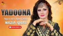 Yadoona | Pashto Best Audio Ghazal | Nazia Iqbal | Spice Media