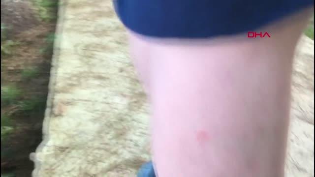 İSTANBUL'DA SİVRİSİNEK KABUSU BÜYÜYOR; İBB SMS İLE UYARDI