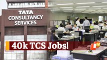 TCS Job Offers: IT Giant To Hire More Than 40,000 Freshers This Year