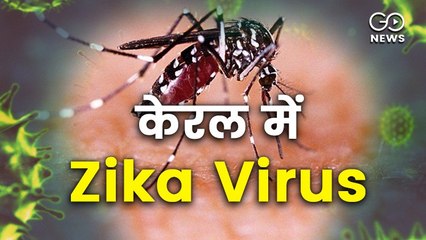 कहां से आया जीका वायरस ? केरल में पहला केस