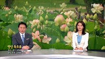 7월 10일 MBN 종합뉴스 클로징