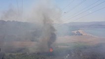 Son dakika haberi | Aliağa'daki ağaçlandırma sahasında çıkan yangın kontrol altına alındı