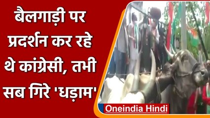 Mumbai में पेट्रोल की कीमतों के खिलाफ Congres के प्रदर्शन में टूटी Bullock cart | वनइंडिया हिंदी