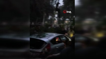 Piknik alanında düşen ağaç dalları, 2 araca zarar verdi