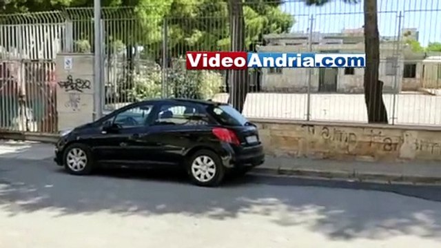 Andria il gatto era ancora vivo ma è morto dopo agonia, nessuno lo ha soccorso - la rabbia dei volontari perchè quel cancello non si può aprire in caso di emergenza? - video