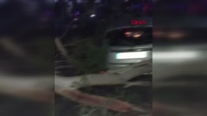 MERSİN'DE PİKNİK ALANINDA FACİADAN DÖNÜLDÜ
