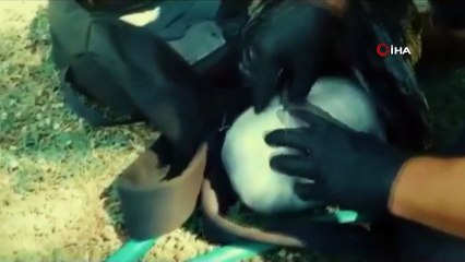 Narkotik köpeği 'Coco' Haziran ayının 'en başarılısı' oldu