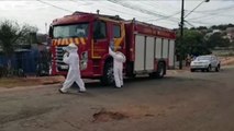 Enxame de abelhas ataca cachorrinho no Bairro Alto Alegre e Bombeiros realizam resgate