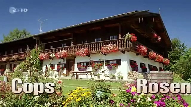 Die Rosenheim Cops - Staffel 13 Folge 13 - Dabei sein ist alles