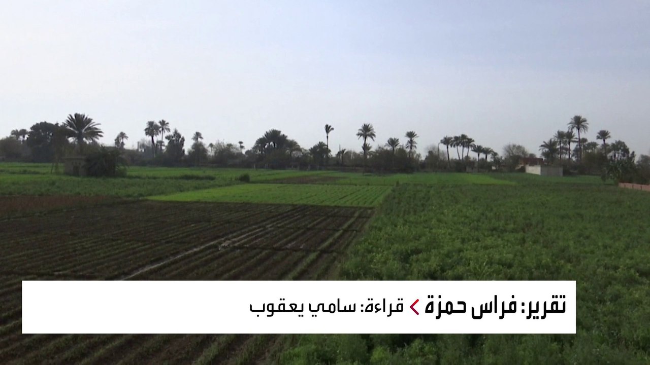 وزير الري المصري: بلادي قادرة على انتزاع حقوقها المائية