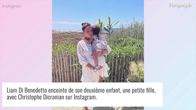 Liam Di Benedetto enceinte : au bord de l'explosion , elle dévoile son énorme ventre