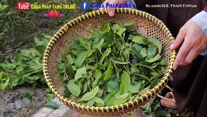 Trị Bướu Cổ - Bướu Tuyến Giáp  Vô Cùng Đơn Giản  Chùa Pháp Tạng. #09