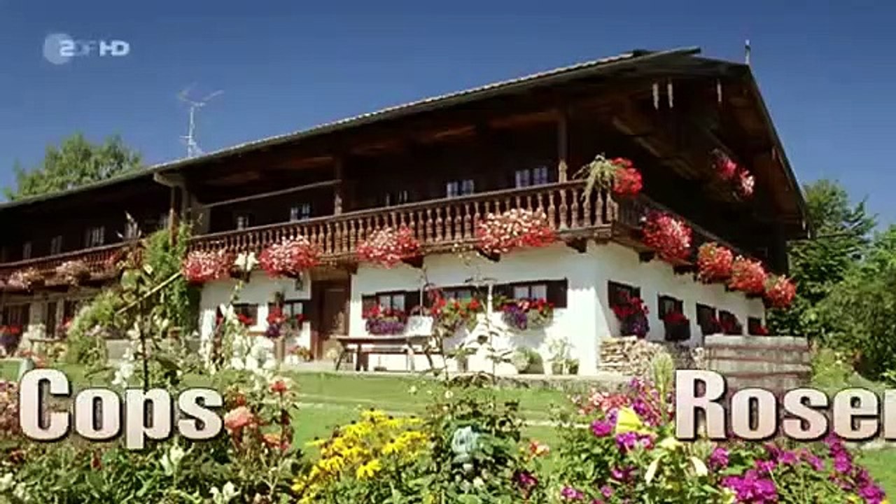 Die Rosenheim Cops - Staffel 13 Folge 22 - Alles Gute kommt von oben