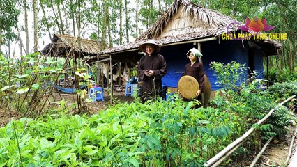 Lá Bồ Công Anh Trị Khối U Đường Ruột - Tác Dụng Diệu Kỳ Bồ Công Anh (dandelion) Chùa Pháp Tạng #08