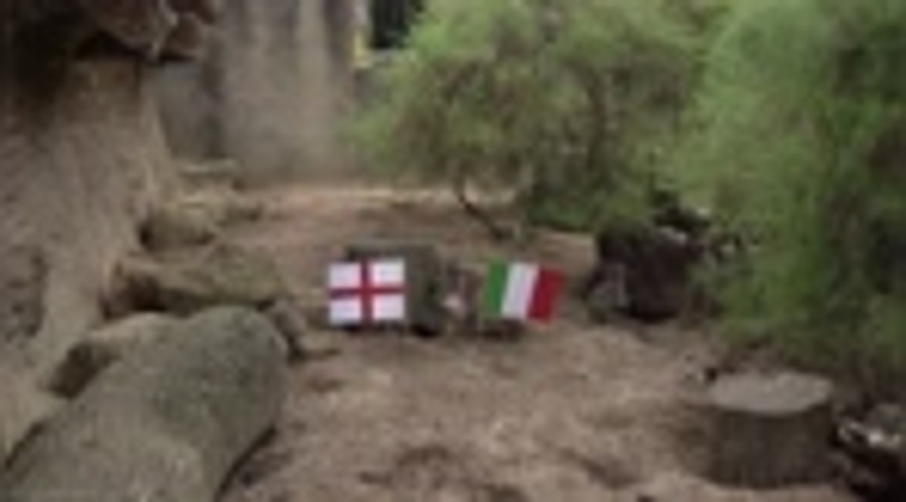 Euro 2020 - Un groupe de "suricates mystiques" du zoo de Londres prédit le vainqueur