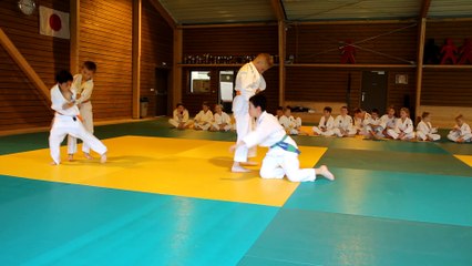Judo Jujitsu vidéo 4 ( 1er stage de juillet)
