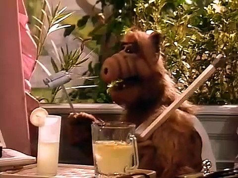 ALF 21. Das Fenster zum Garten Staffel 1, Folge 21