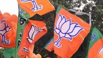 Explained: Figures of BJP's big win in UP Panchayat election