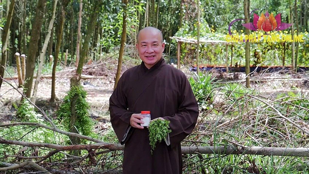 Viêm Xoang Lâu Năm, Viêm Mũi Cũng Hết Với Cách Làm Này 5 Phút Mỗi Ngày  Chùa Pháp Tạng - #07