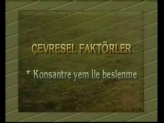 Hayvan hastalıklarına genel bir bakış(!) Dublaj