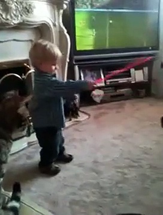The Karate Cat Attacking A Child