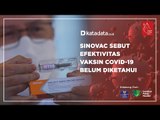 Sinovac Sebut Efektivitas Vaksin Covid-19 Belum Diketahui | Katadata Indonesia