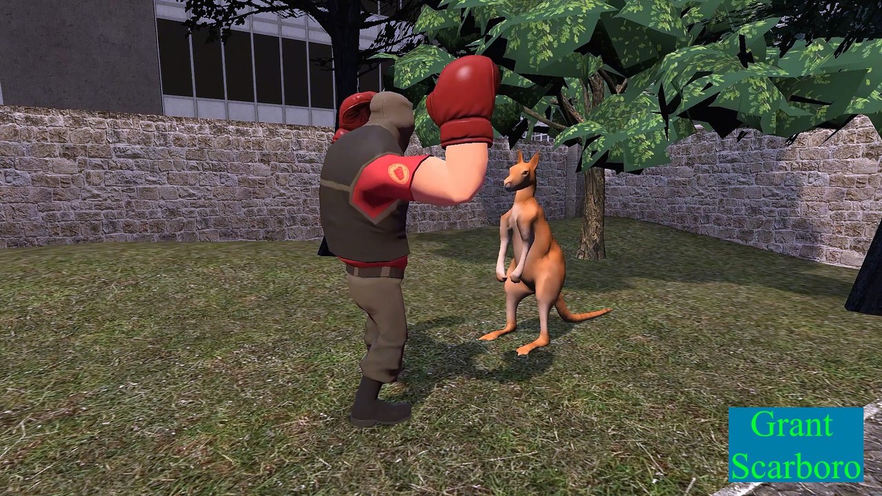 Heavy vs. Kangaroo