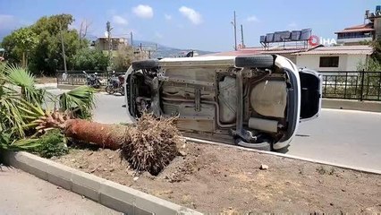 Son dakika haberi! Köpeğe çarpmamak için kaza yaptı