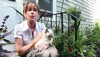 iki yüzlü kedi öldü