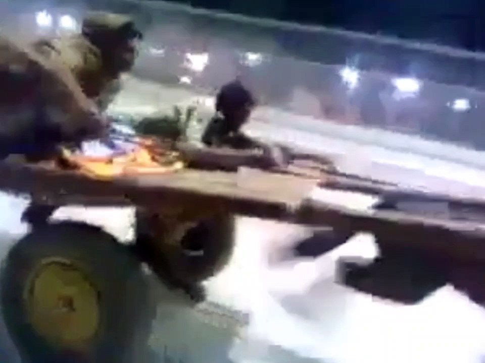 أسرع حمار في العالم أسرع من قطار اليابان