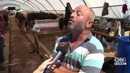 Kurban alışverişinde sıkı pazarlık