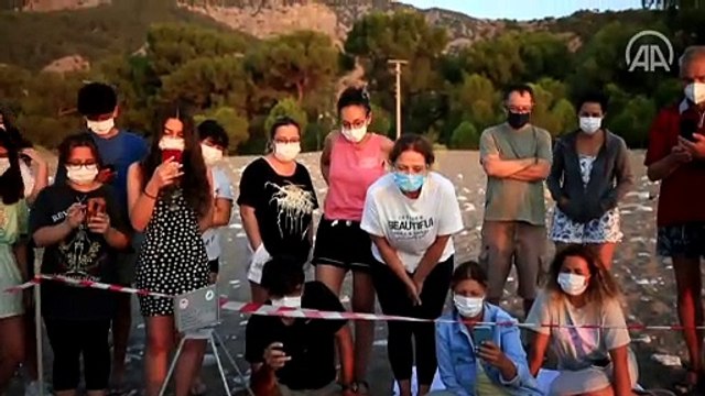 Caretta caretta yavruları denizle buluşmaya başladı