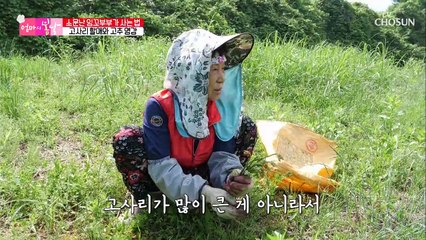 깨 볶는 냄새가 솔~솔~ 잉꼬부부(?)로 소문난 엄마 TV CHOSUN 20210711 방송