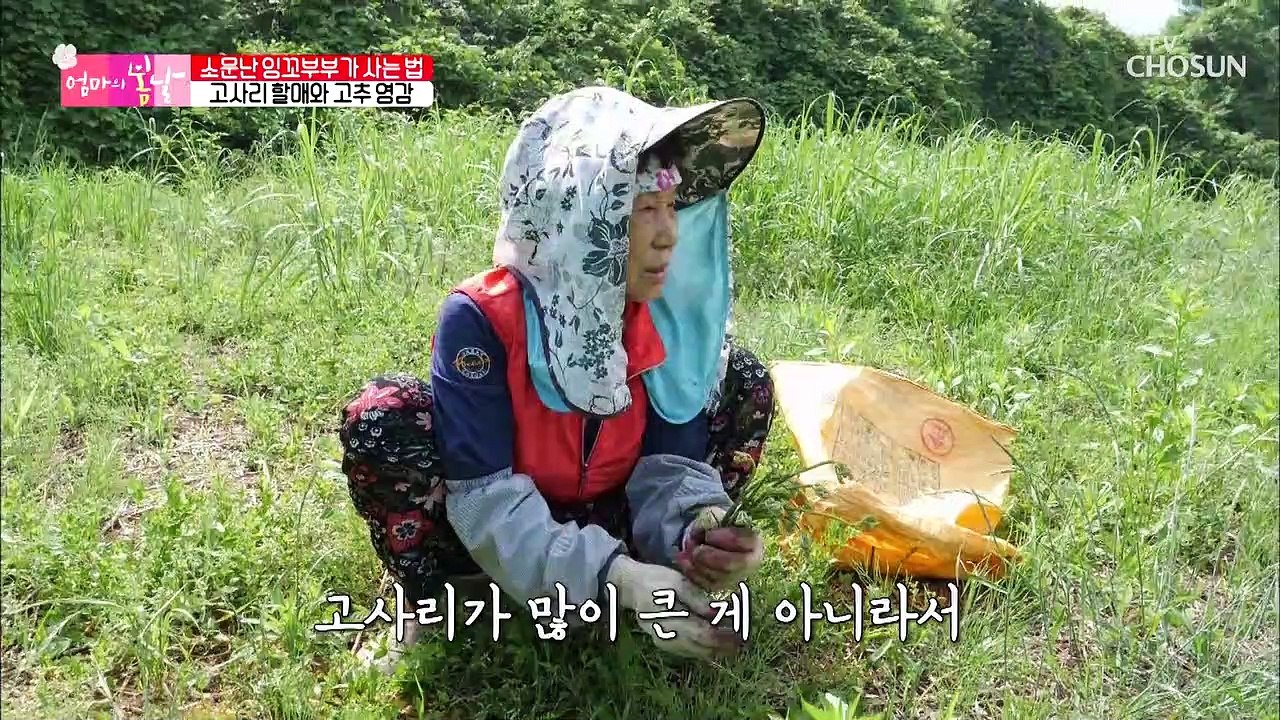 깨 볶는 냄새가 솔~솔~ 잉꼬부부(?)로 소문난 엄마 TV CHOSUN 2021071...