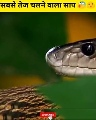 Amazing Fact | Amazing Rondom fact | Best Fact in 2021 | #shorts #facts