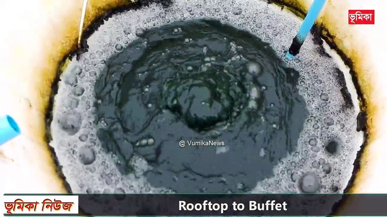 ছাদ কৃষি _ Rooftop to Buffet - ছাদ কৃষি পদ্ধতি _ কম খরচে ও সহজ উপায়ে ছাদ বাগান