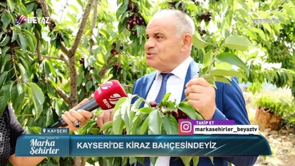 Marka Şehirler 11 Temmuz 2021
