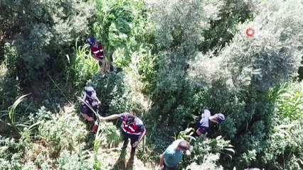 Jandarmadan drone destekli uyuşturucu operasyonu