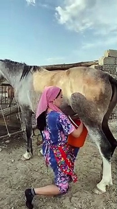 Hors  And Girl - 