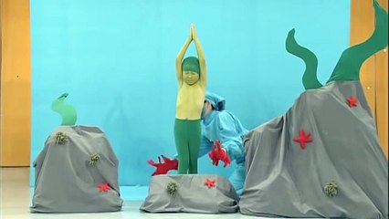 A Tickled Seaweed  Amazing Performers