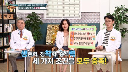 트로트계의 핫바디 박주희가 챙겨먹는 특별한 유산균 ❛이것❜ TV CHOSUN 20210711 방송