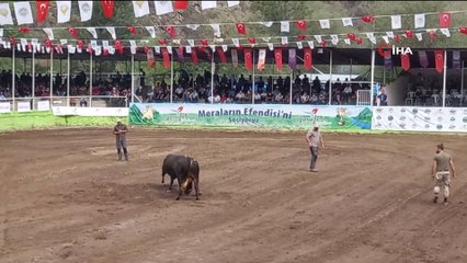 Sular altında kalacak olan ilçede son boğa güreşleri yapıldı