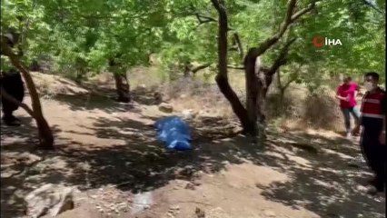 Bahçesine kayısı toplamaya giden yaşlı adam ölü bulundu