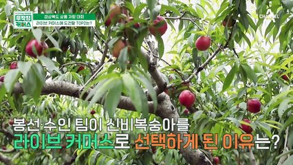 라이브 커머스에 도전할 마지막 TOP2는?