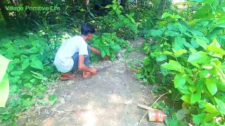 Easy Simple Unique Bird Trap Technology By Bamboo Bow ! Diy Bow Bird Trap