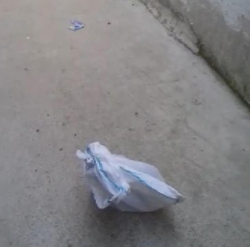 SULTANGAZİ'DE KEDİYİ ÇUVALA KOYUP EVİN BAHÇESİNE ATTILAR